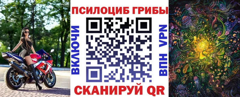 закладки  Шиханы  Псилоцибиновые грибы GOLDEN TEACHER 